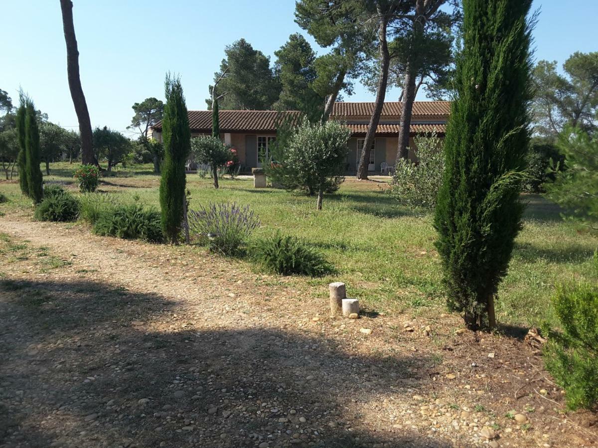 Saint-Rémy-de-Provence Clair De Lune מראה חיצוני תמונה